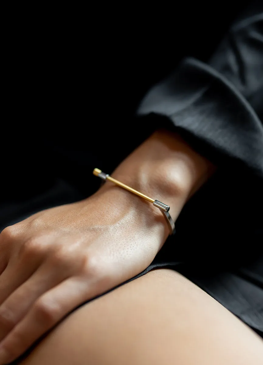 Bangle | Omega | Silver & Gold