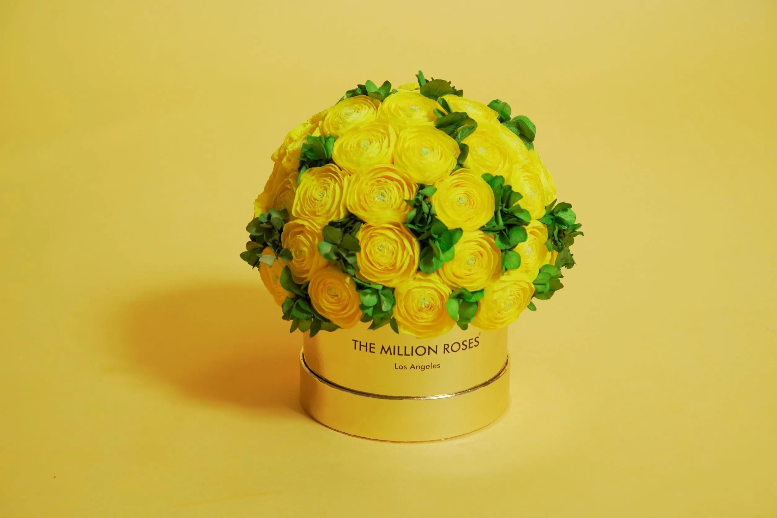 Classic Bordeaux Suede Box | Yellow Persian Buttercups & Green Hydrangeas