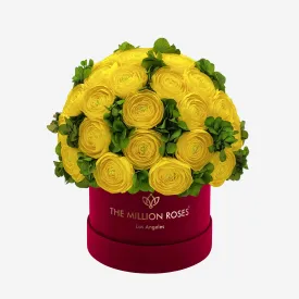 Classic Bordeaux Suede Box | Yellow Persian Buttercups & Green Hydrangeas