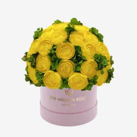 Classic Light Pink Suede Box | Yellow Persian Buttercups & Green Hydrangeas