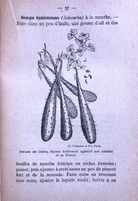 (French Colonies) R. de Noter. La Bonne Cuisine aux Colonies: Asie, Afrique, Amerique.