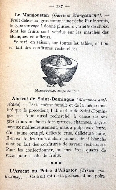 (French Colonies) R. de Noter. La Bonne Cuisine aux Colonies: Asie, Afrique, Amerique.