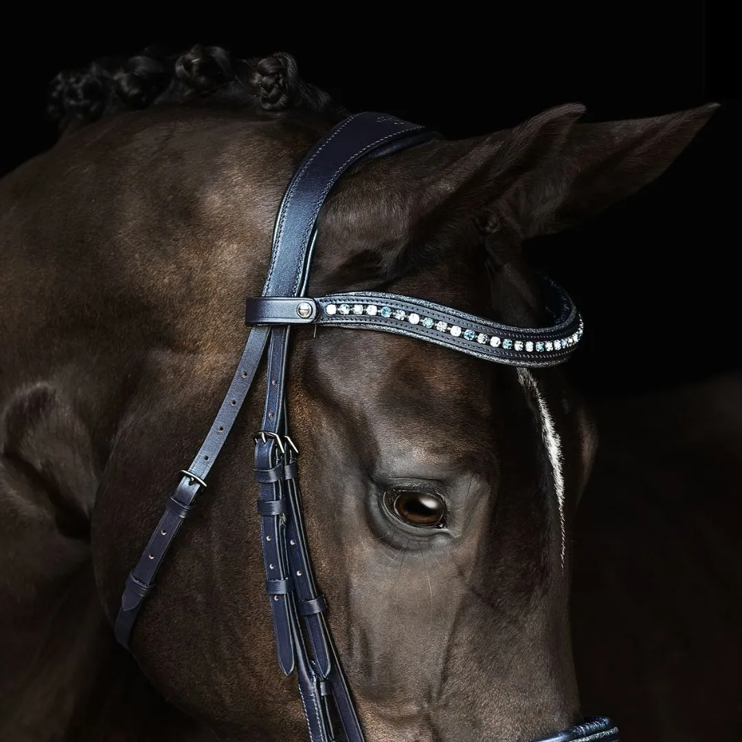 Malvern Saddlery AFTER MIDNITE Dressage Bridle