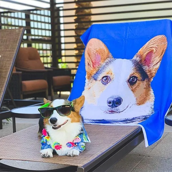 Original Pet Pop Art Beach Towel