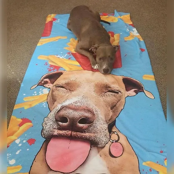 Original Pet Pop Art Beach Towel