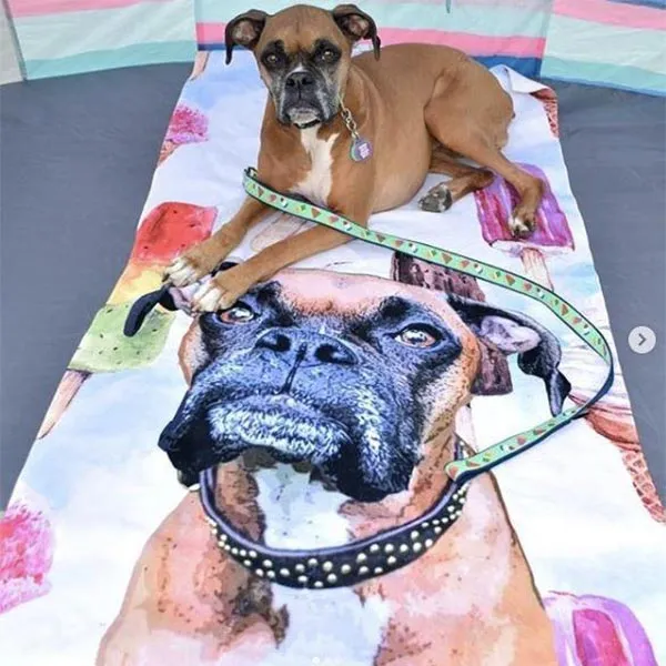 Original Pet Pop Art Beach Towel